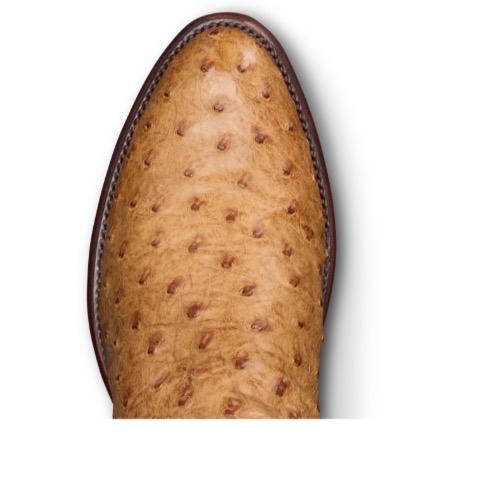 Tecovas - The Wyatt Cedar Ostrich