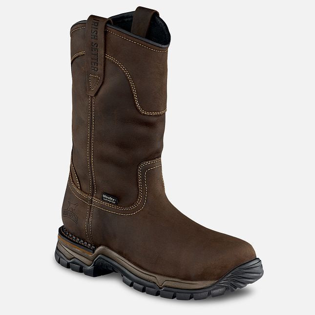 Irish Setter- 83906 Two Harbors