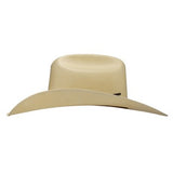 73 WESTFIELD